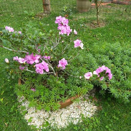 Kitnet E Suite Morada Aguiar - Chale Abraão Exterior foto