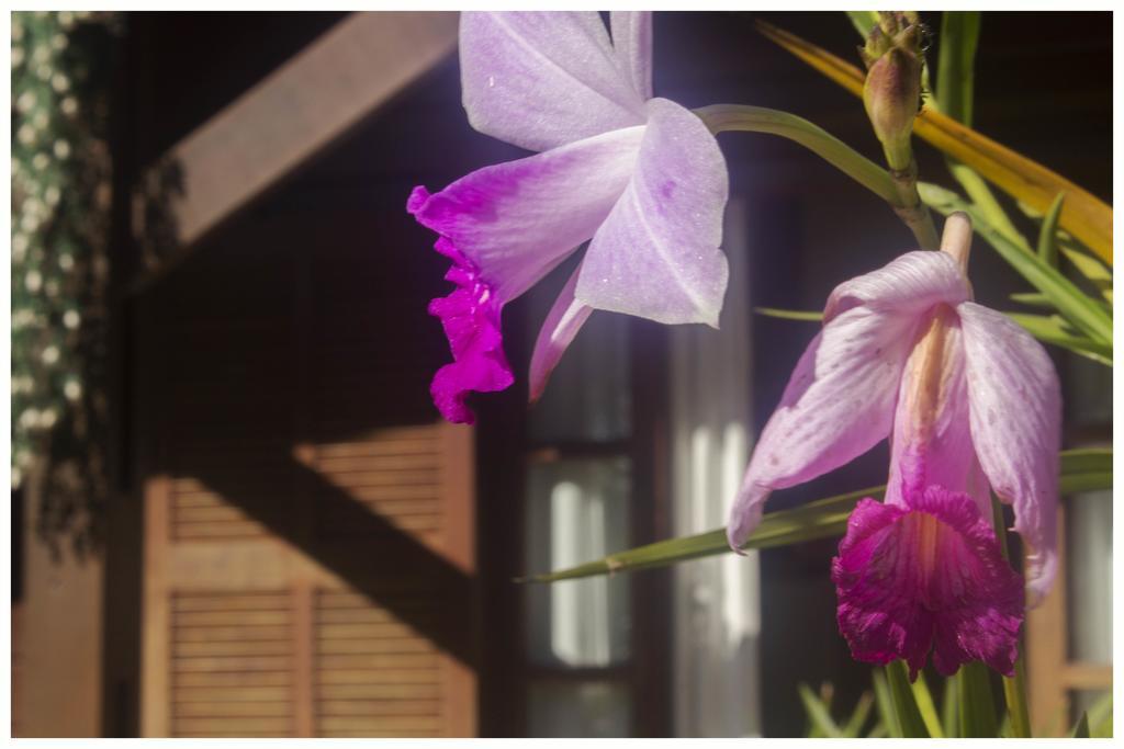Kitnet E Suite Morada Aguiar - Chale Abraão Exterior foto